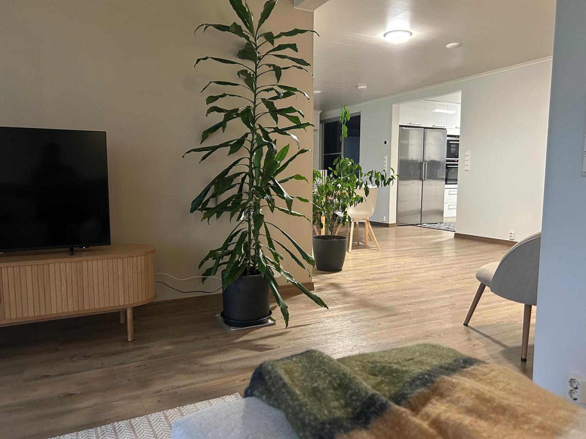 Kaamos City House Rovaniemi Buitenkant foto