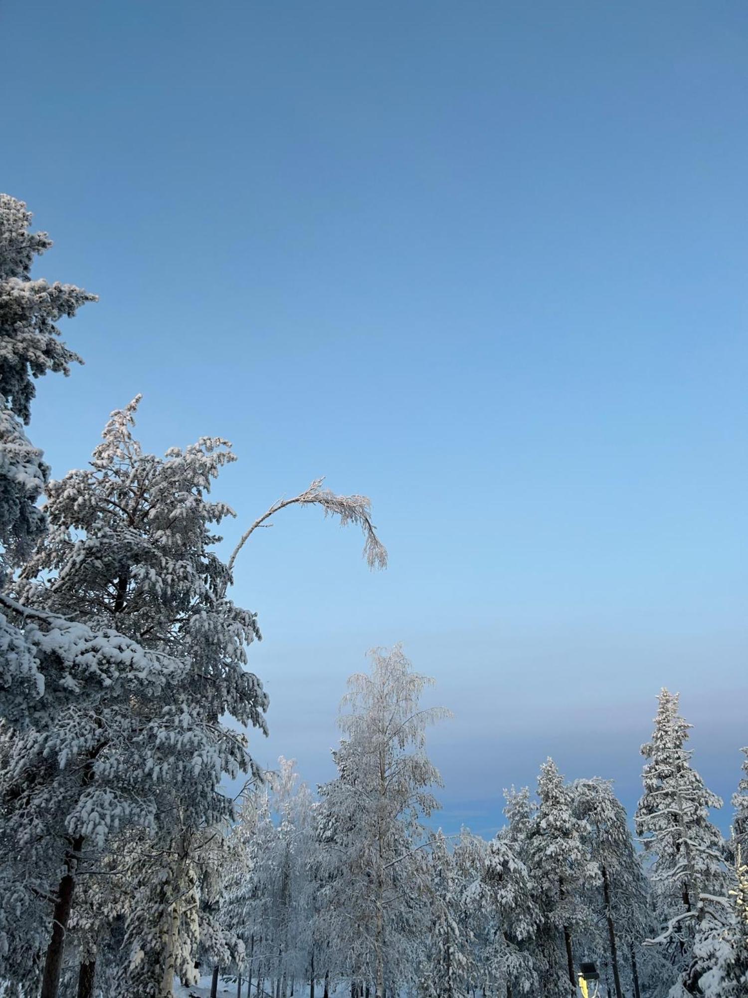 Kaamos City House Rovaniemi Buitenkant foto